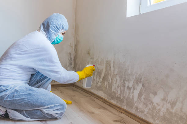 Hvac And Air Duct Mold Remediation inspection of HVAC system in Dickerson
